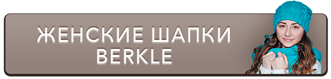 berkle-300x137